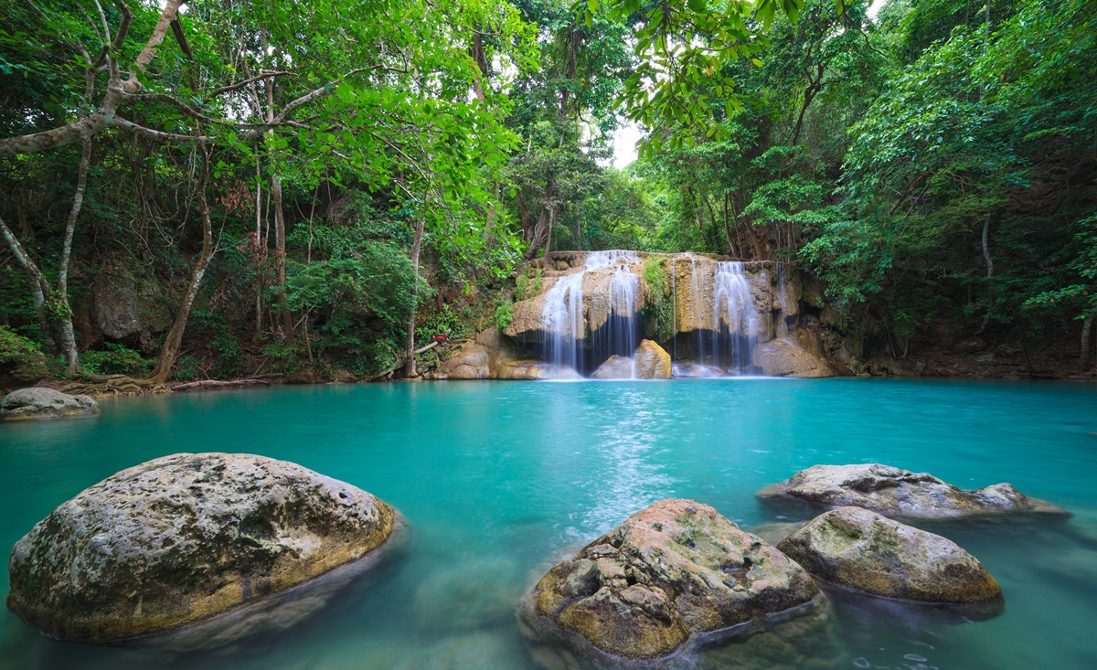 Foresta_pluviale_isola_Dominica_Caraibi.jpg