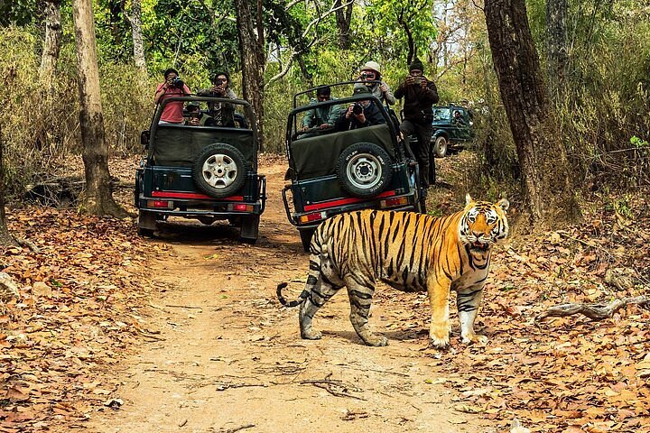 captionjeep.jpg