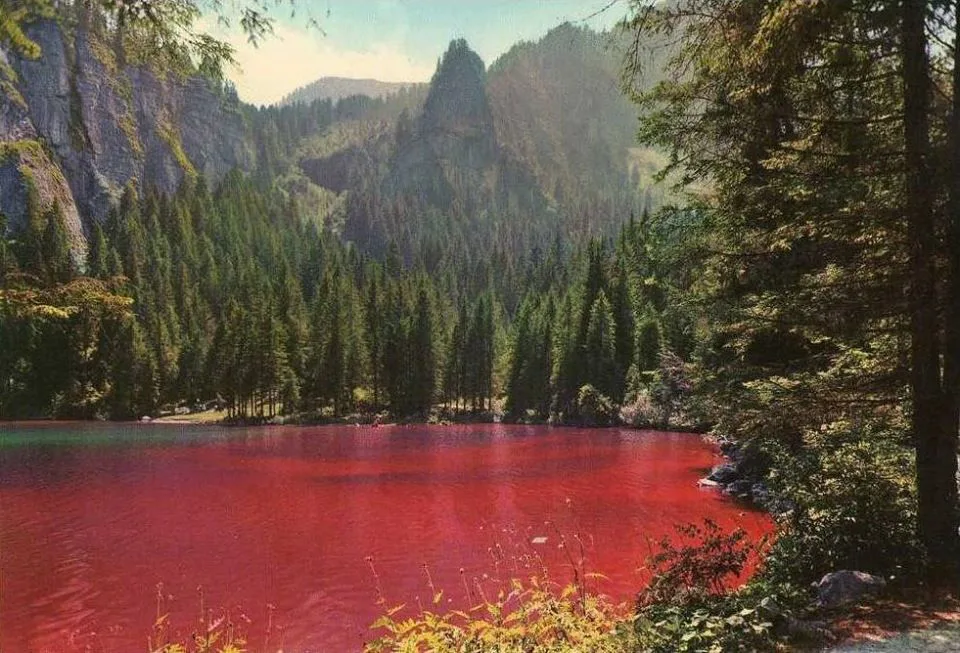 lago-di-tovel-lago-rosso-Gino-De-Concini.jpg.webp