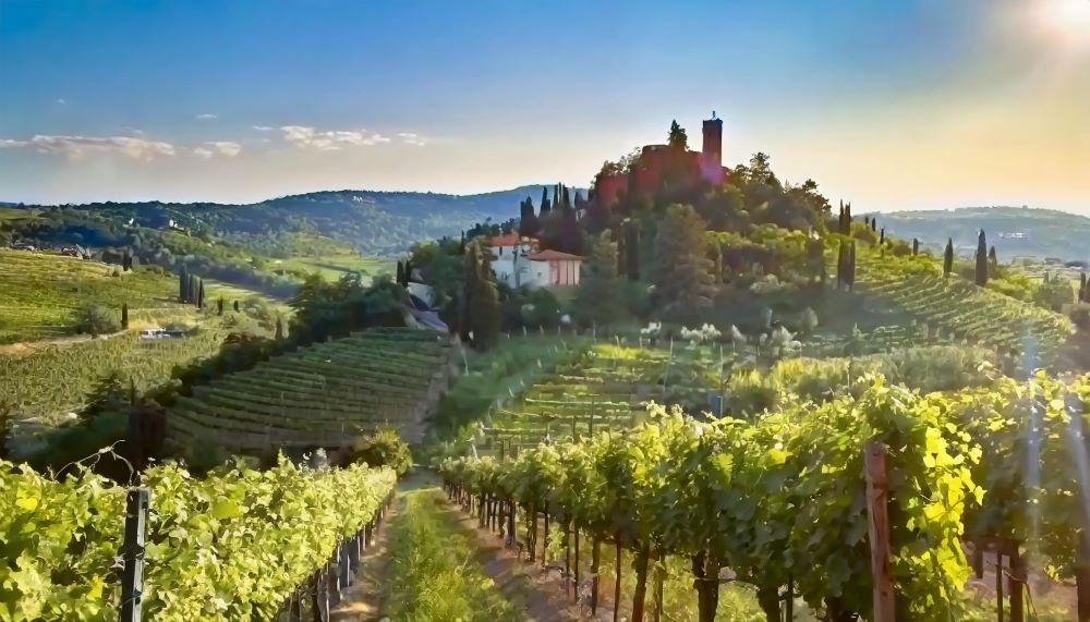 valpolicella-2.jpg
